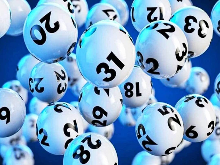 Khám Phá Thế Giới Đá Gà C1: Hình Thức Giải Trí Đầy Kịch Tính